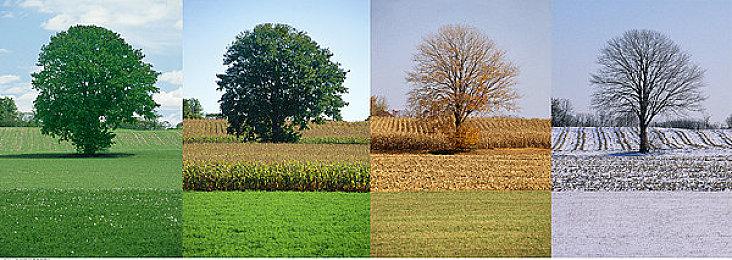 限量2000件！索尼PS5国行12月12日开售：3899元起