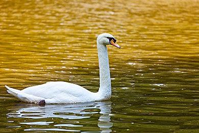 《圣塔神记TRINITY TRIGGER》中文版 将于2023年1月19日发售